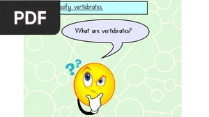 What are Vertebrate?