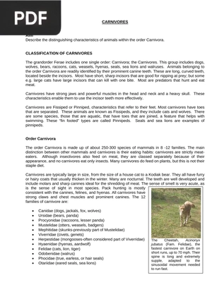 Carnivores (Article)