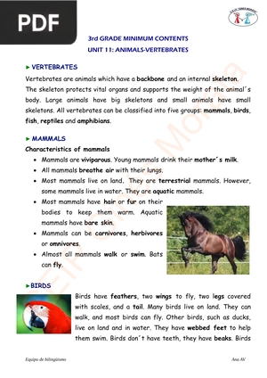 Unit 11: Animals-Vertebrates (Article)