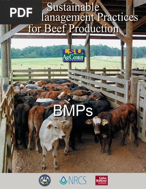 Sustainable best management practices for beef production