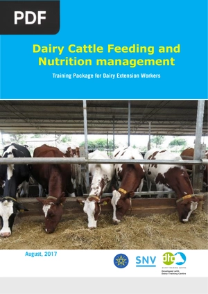 Dairy Cattle Feeding and Nutrition management