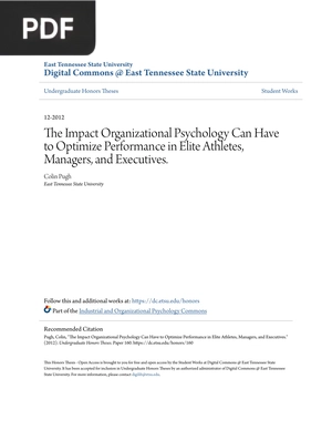 The Impact Organizational Psychology Can Have to Optimize Performance in Elite Athletes, Managers, and Executives