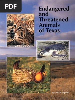 Endangered and Threatened Animals of Texas