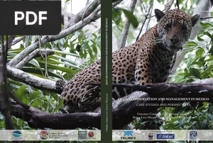 Jaguar Conservation and Management in Mexico
