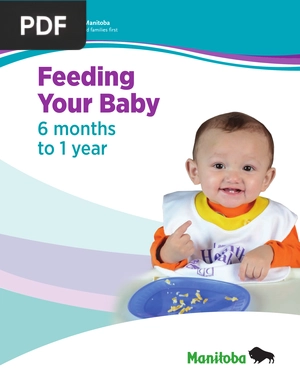 Feeding Your Baby 6 months to 1 year