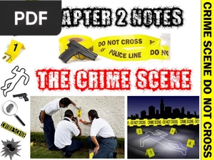 The Crime Scene (Presentation)