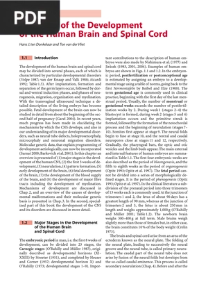 Overview of the Development of the Human Brain and Spinal Cord