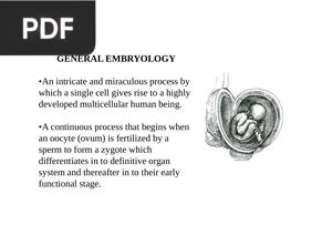 General embryology (Presentation)