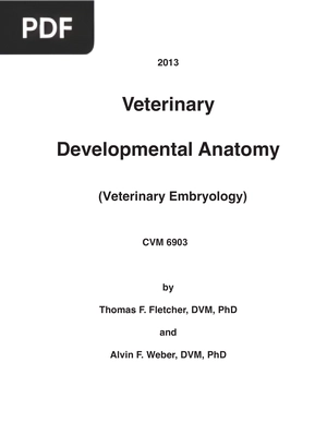 Veterinary Developmental Anatomy