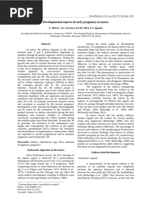 Developmental Aspects of Early Pregnancy in Mares