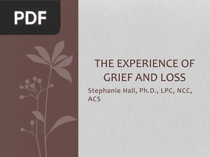 The Experience of Grief and Loss (Presentation)