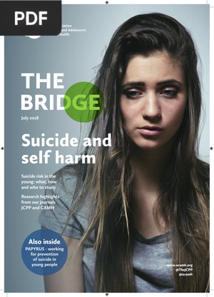 The Bridge (Article)