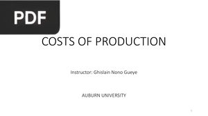 Production Costs (Presentation)