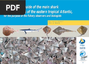 Identification Guide of the Main Shark and Ray Species of the Eastern Tropical Atlantic for the Purpose of the Fishery Observers and Biologists