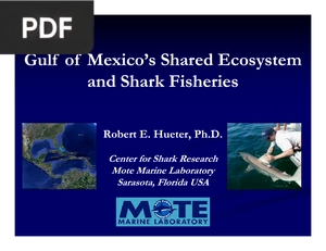 Gulf of Mexicos Shared Ecosystem and Shark Fisheries (Presentation)