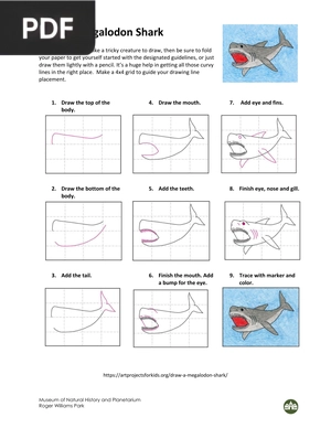 Draw a Megalodon Shark