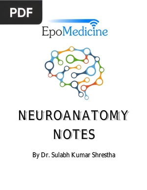 Neuroanatomy Notes