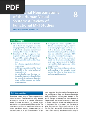Functional Neuroanatomy of the Human Visual System: A Review of Functional MRI Studies