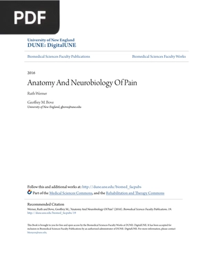 Anatomy And Neurobiology Of Pain