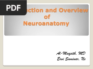 Introduction and Overview of Neuroanatomy (Presentation)