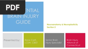 The Essential Brain Injury Guide (Presentation)