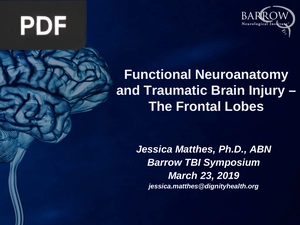 Functional Neuroanatomy and Traumatic Brain Injury The Frontal Lobes (Presentation)