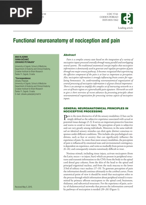 Functional Neuroanatomy of Nociception and Pain (Article)