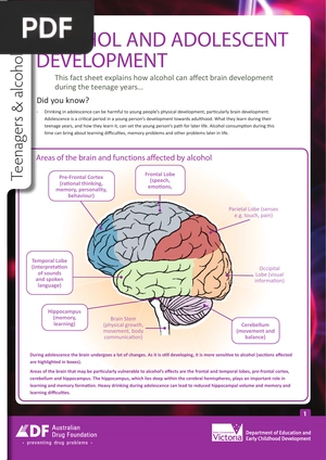 Alcohol and Adolescent Development (Article)