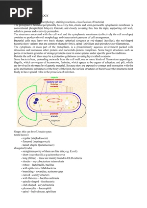 General Bacteriology