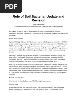 Role of Soil Bacteria: Update and Revision (Article)