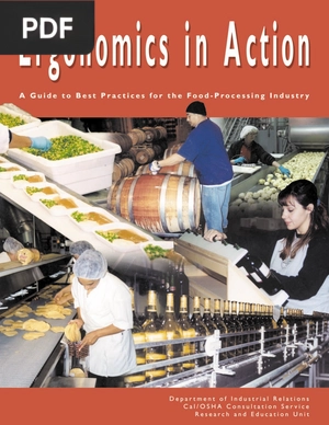 Ergonomics in Action