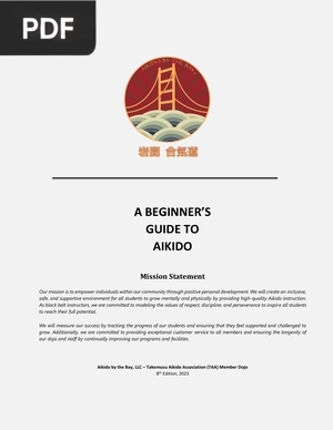 A beginner’s guide to aikido