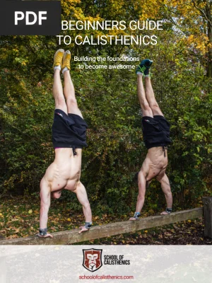 A Beginners Guide to Calisthenics