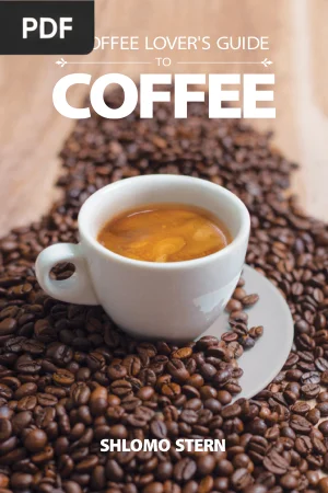 A Coffee Lover's Guide to Coffee