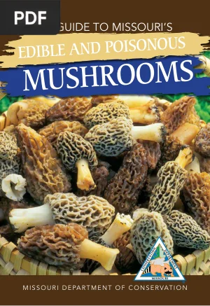 A Guide to Missouri's Edible and Poisonous Mushrooms