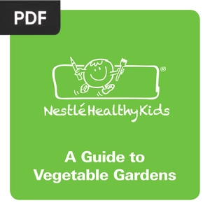 A Guide to Vegetable Gardens