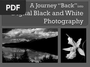 A Journey Back into Black and White Photography