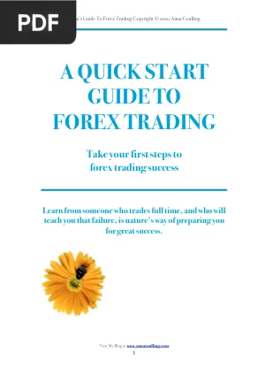 A Quick Start Guide to Forex Trading