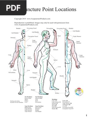 Acupuncture Point Locations