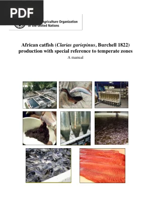 African Catfish Production Manual