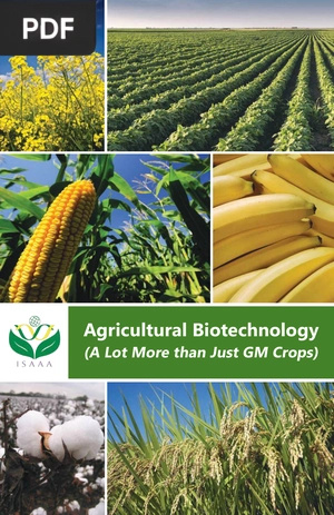 Agricultural Biotechnology (A Lot More than Just GM Crops)