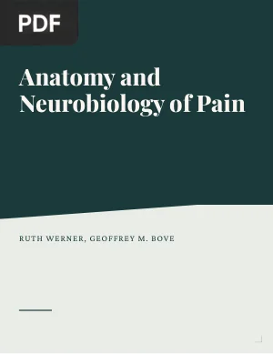 Anatomy and Neurobiology of Pain