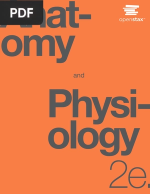 Anatomy and Physiology 2e