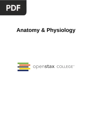 Anatomy & Physiology