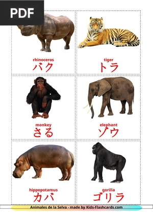 Animals Cards - Flascards