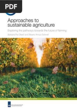 Approaches to Sustainable Agriculture