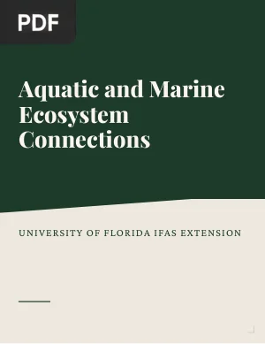 Aquatic and Marine Ecosystem Connections