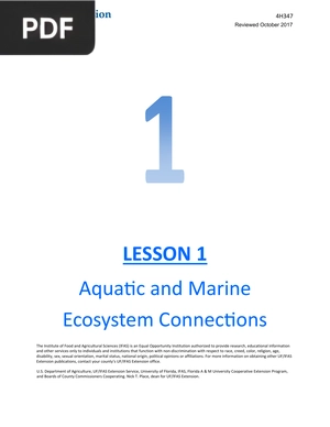 Aquatic and Marine Ecosystem Connections