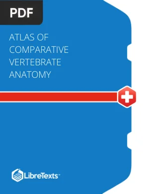Atlas of Comparative Vertebrate Anatomy