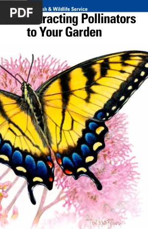 Attracting Pollinators to Your Garden